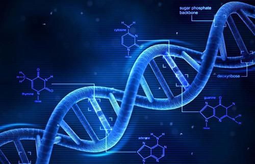 克隆技術 從喧囂到沉寂，科學家的解答揭示深層原因